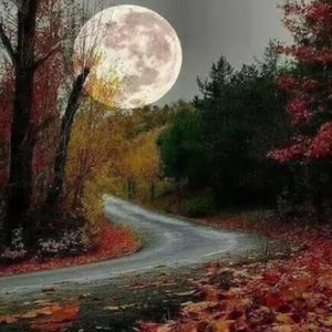 Meet your Posher, Patty